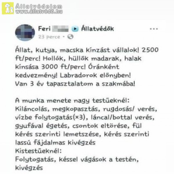 Pénzért kínált állatkínzást