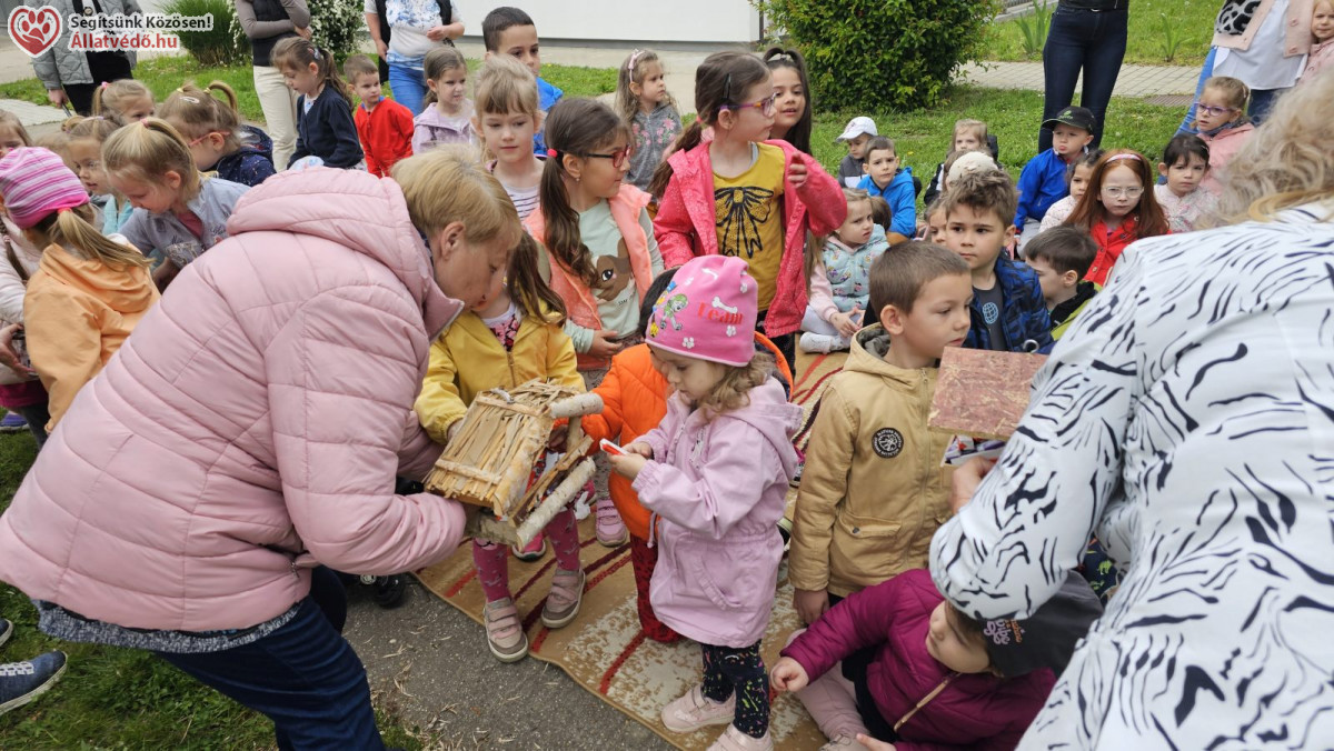 Állatvédelem, természetismeret, jeles napok az állatvédőkkel