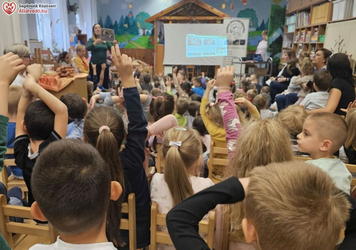 Közös ügyünk az állatvédelem, szemléletformálás a felelős állattartásért