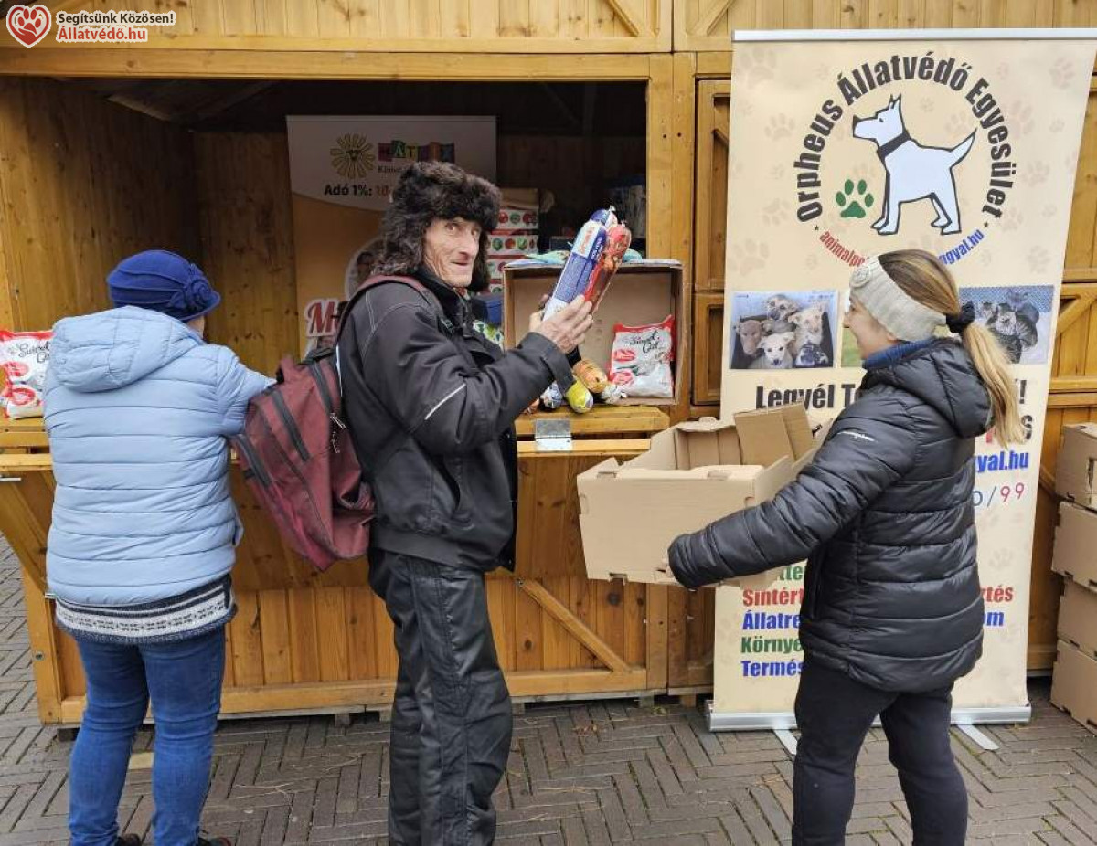Sikeres volt a kutyakarácsony állateledel támogató program