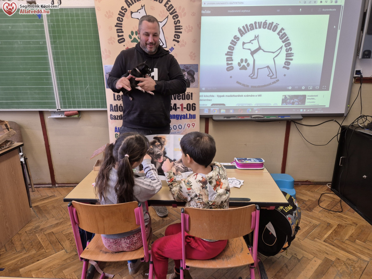 Kutyasimogató - állatvédelmi oktatás
