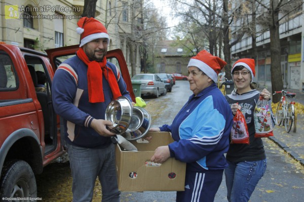 Állatok Karácsonya - Kutyakarácsony az Állatok megmentéséért