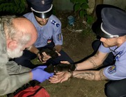 Élve elásta a cicákat, el lett kapva Élve elásta a cicákat, el lett kapva
