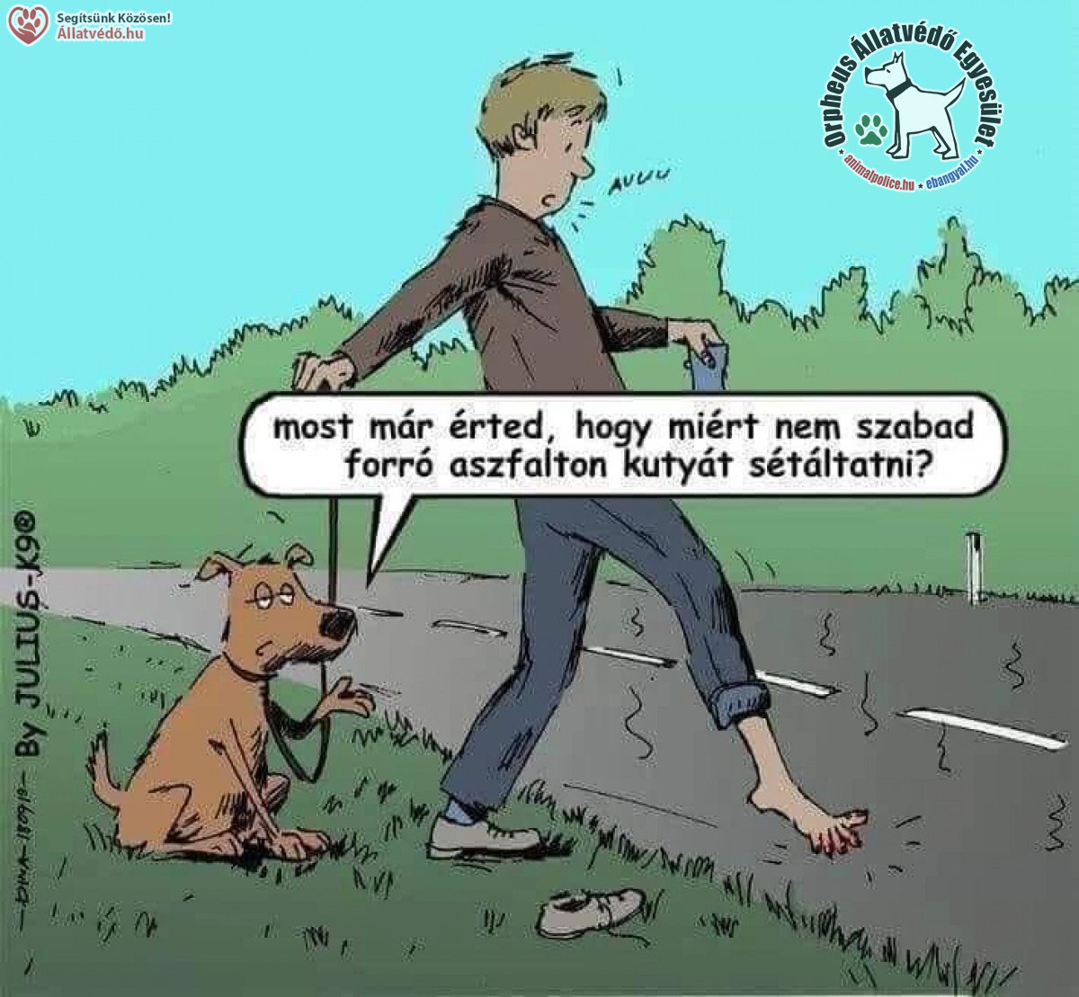 Forró aszfalt, állatvédelem